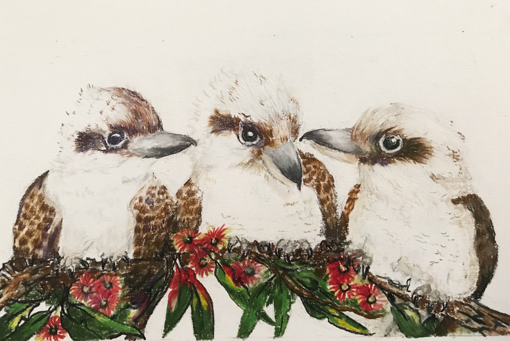 Kookaburra Drawing 3